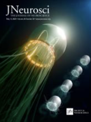 jneurosci_cover2025.png